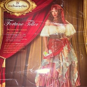 Incharacter Fortune Teller costume. Size small.  Comes in storage bag.